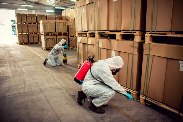 Best Affordable Exterminators  in Howard, WI