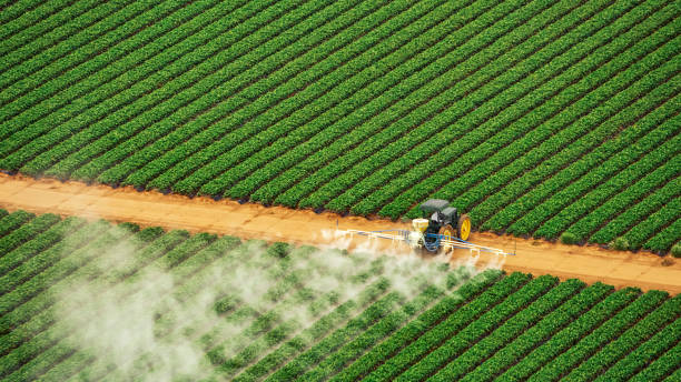 Best Mosquito Control Services  in Howard, WI
