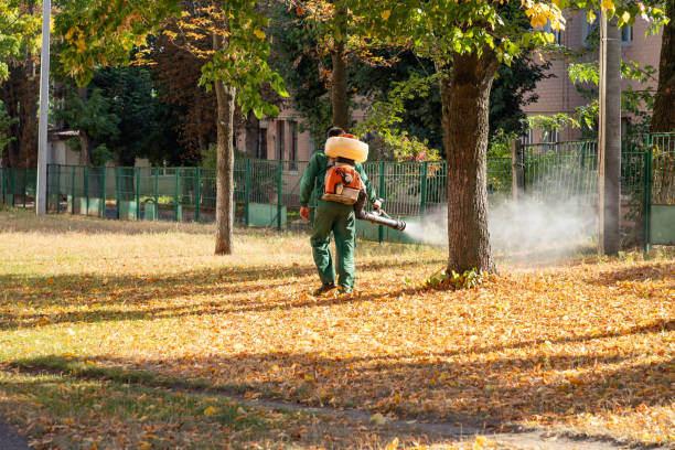 Best Pest Control Near Me  in Howard, WI