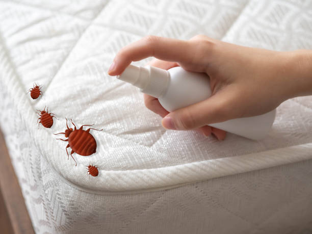 Best Flea Control Services  in Howard, WI
