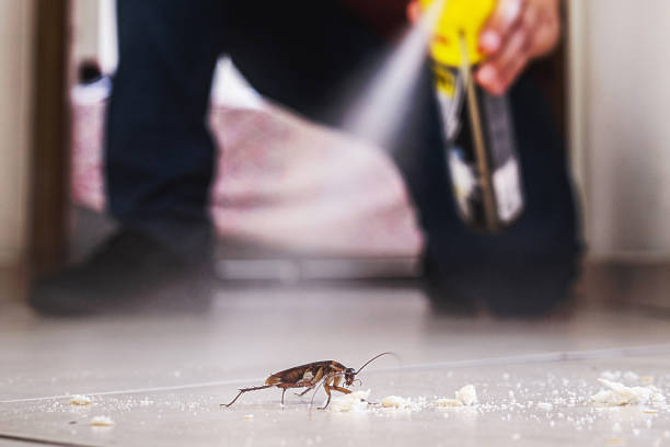 Best Best Pest Control Companies  in Howard, WI