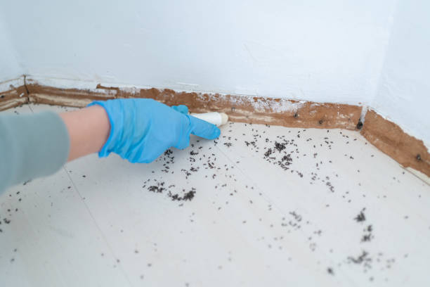 Best Pest Prevention Services  in Howard, WI